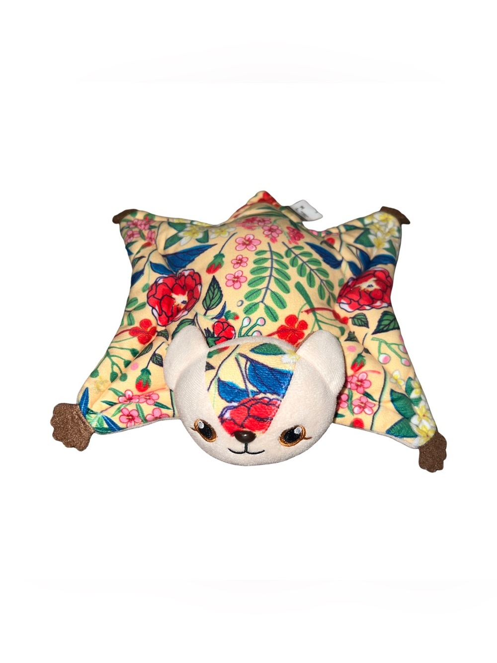 Rare William Farquhar Collection of Natural History Drawings Star Cat/ Bat Plush